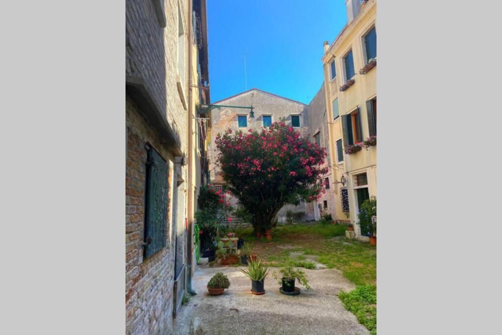 Apartamento The Glamour Of San Marco Venecia Exterior foto